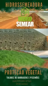 cobertura vegetal contra erosão