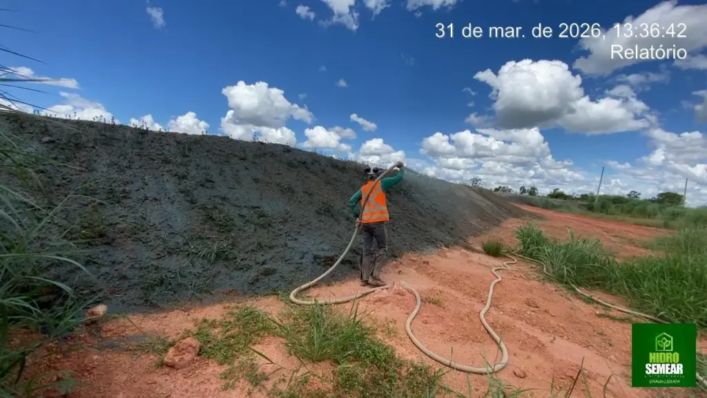 contenção vegetal de taludes