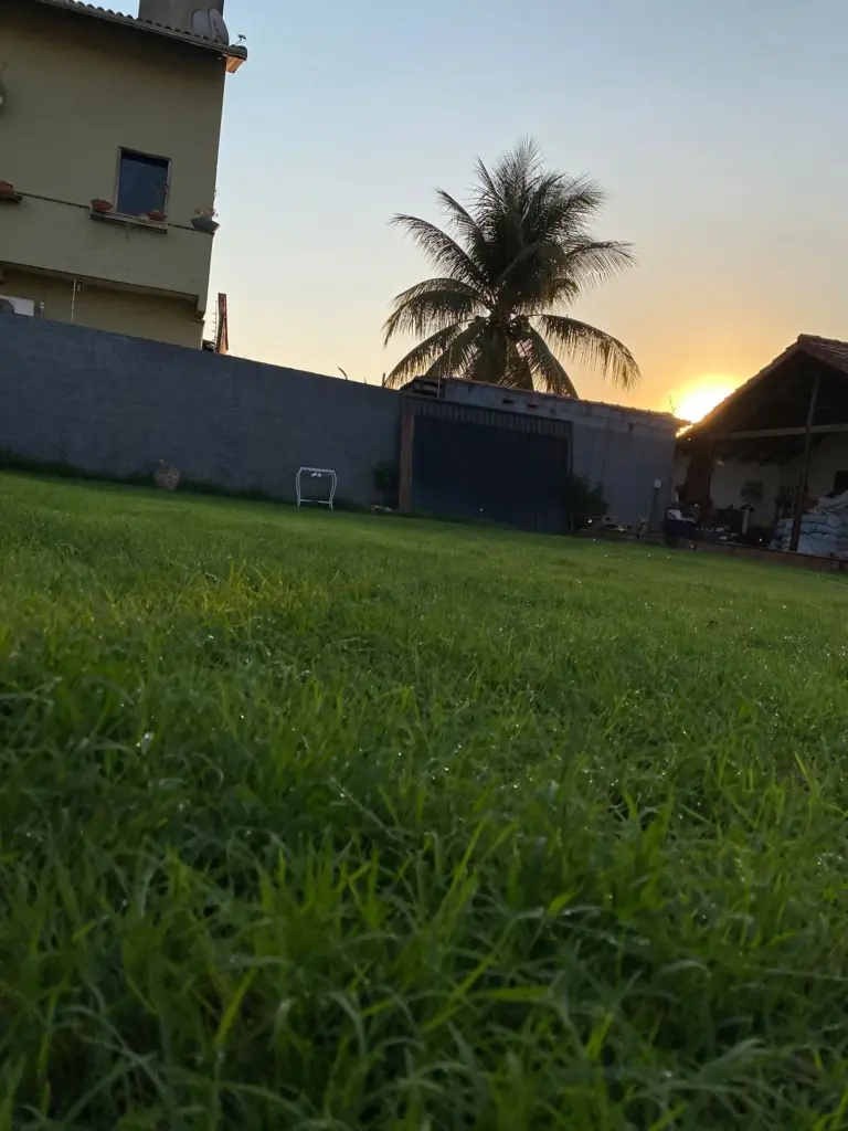 empresa de hidrossemeadura