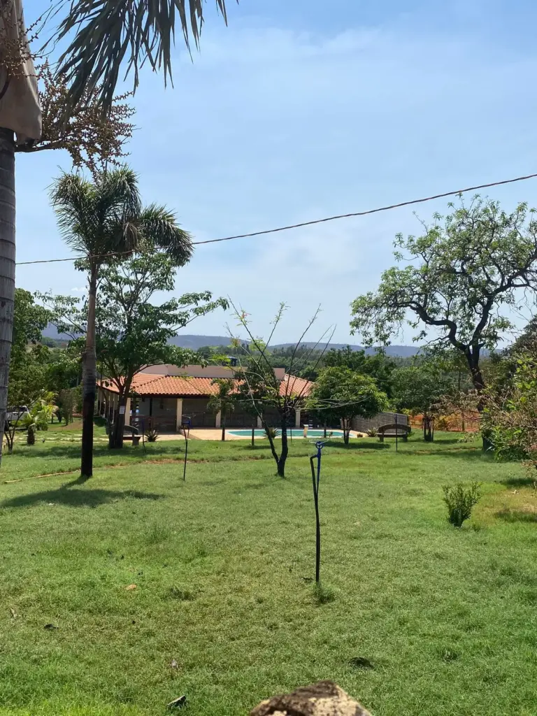 empresa de manutenção e poda