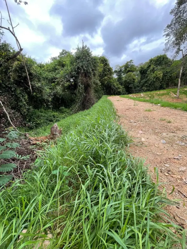 empresa de proteção vegetal de encostas