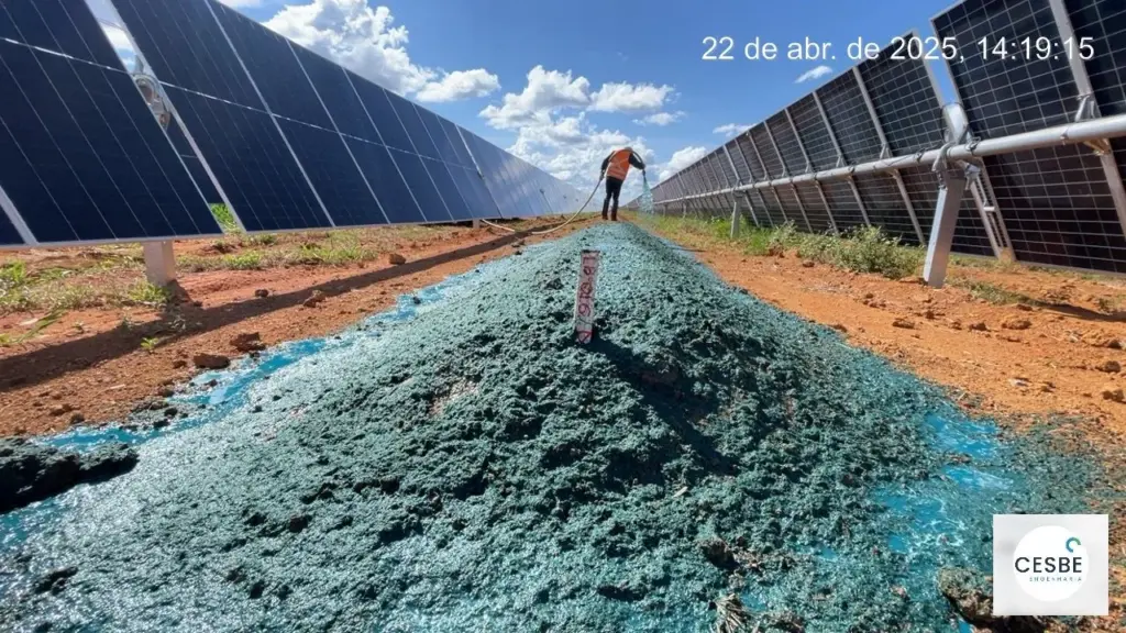 empresa de recuperação de bioma com forrageiros nativos