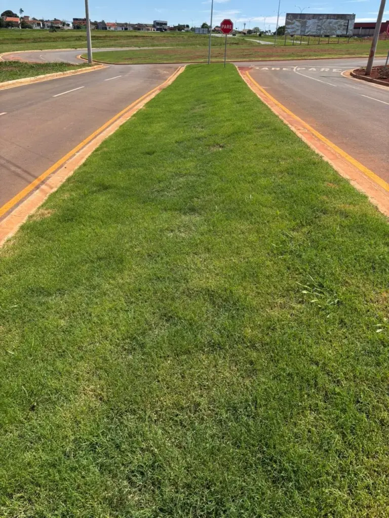 empresa especializada em hidrossemeadura