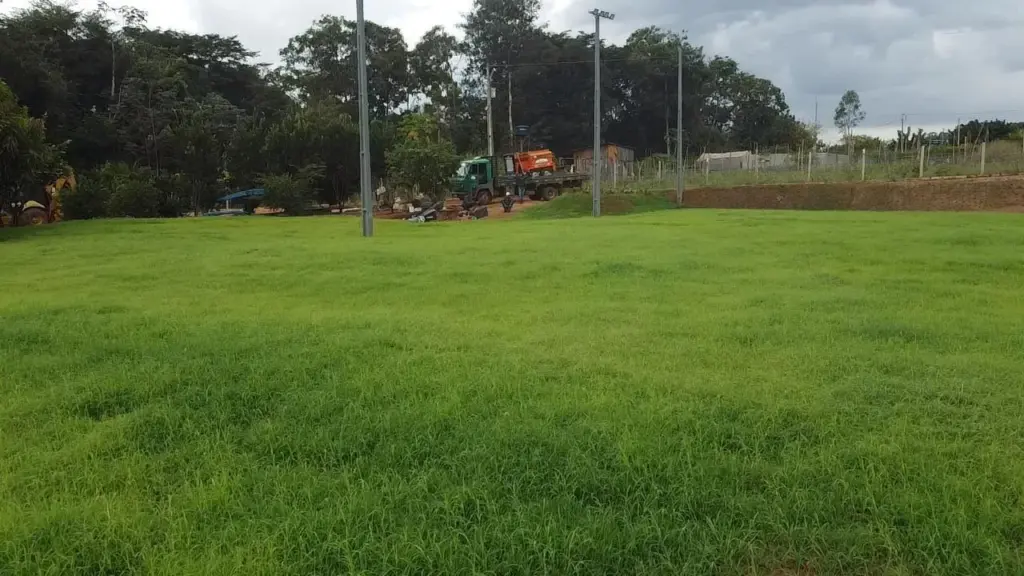 gramado por hidrossemeadura
