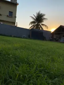hidrossemeadura de grama