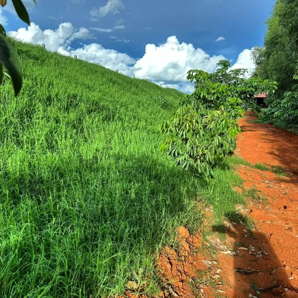 hidrossemeadura em barragens