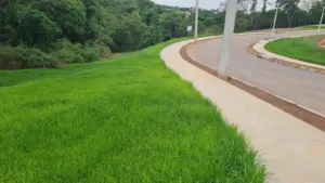 hidrossemeadura em encostas