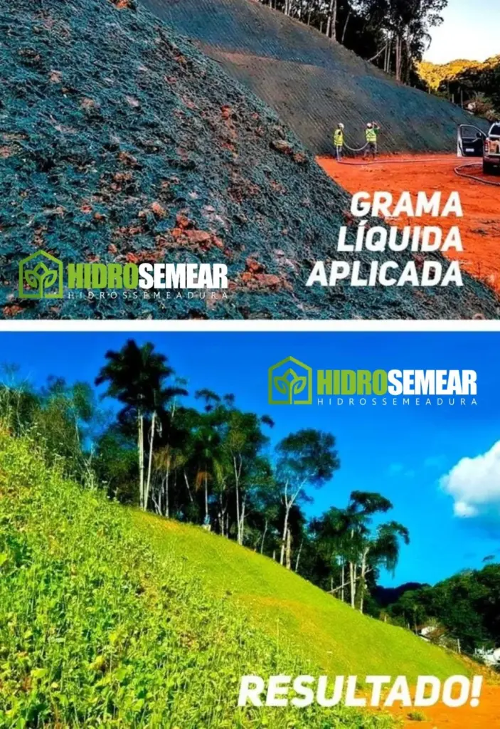 hidrossemeadura em encostas