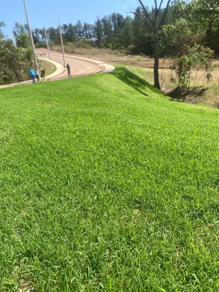 preço de hidrossemeadura