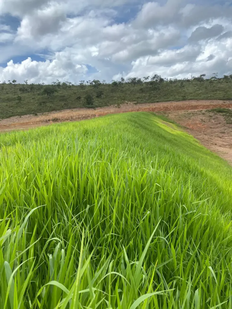 proteção de taludes com hidrossemeadura
