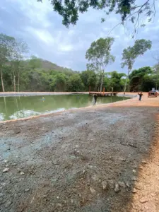 proteção vegetal para barragens