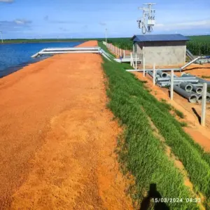 proteção vegetal para piscinões