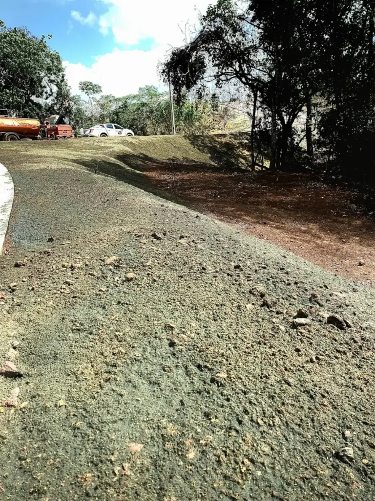 recuperação ambiental
