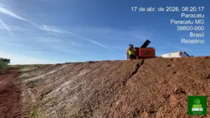 recuperação vegetal de áreas erosivas