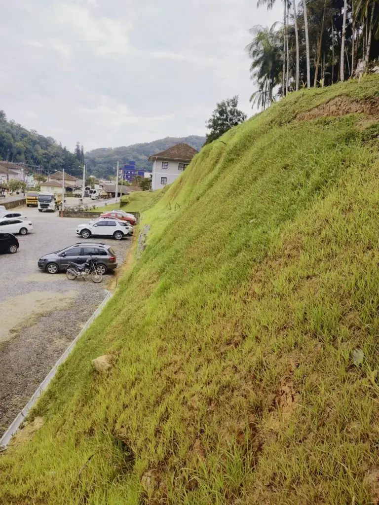 recuperação vegetal de áreas erosivas