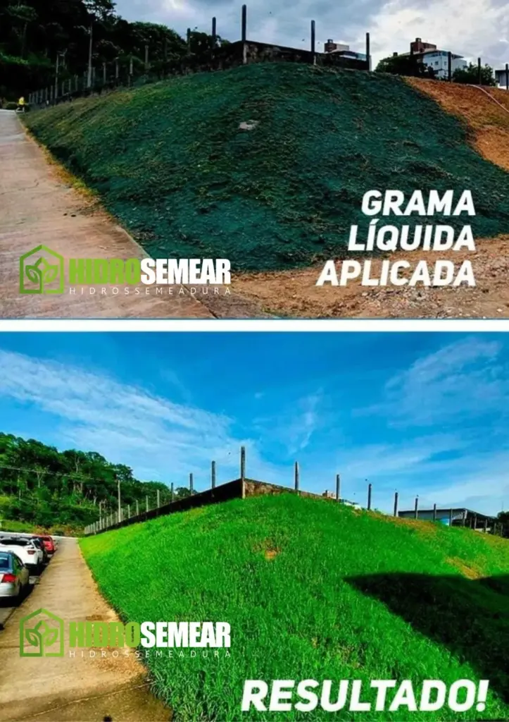recuperação vegetal de taludes