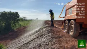 revegetação de encostas