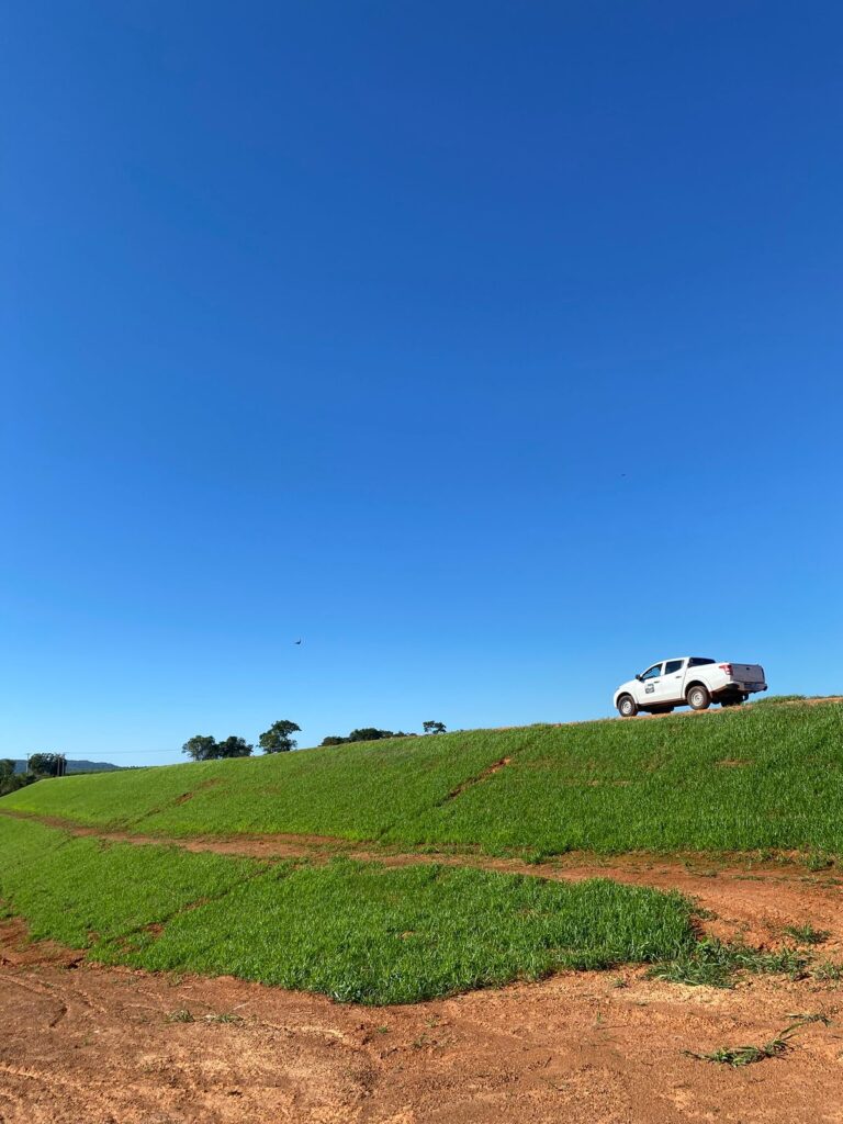 Proteção vegetal em barragens e encostas