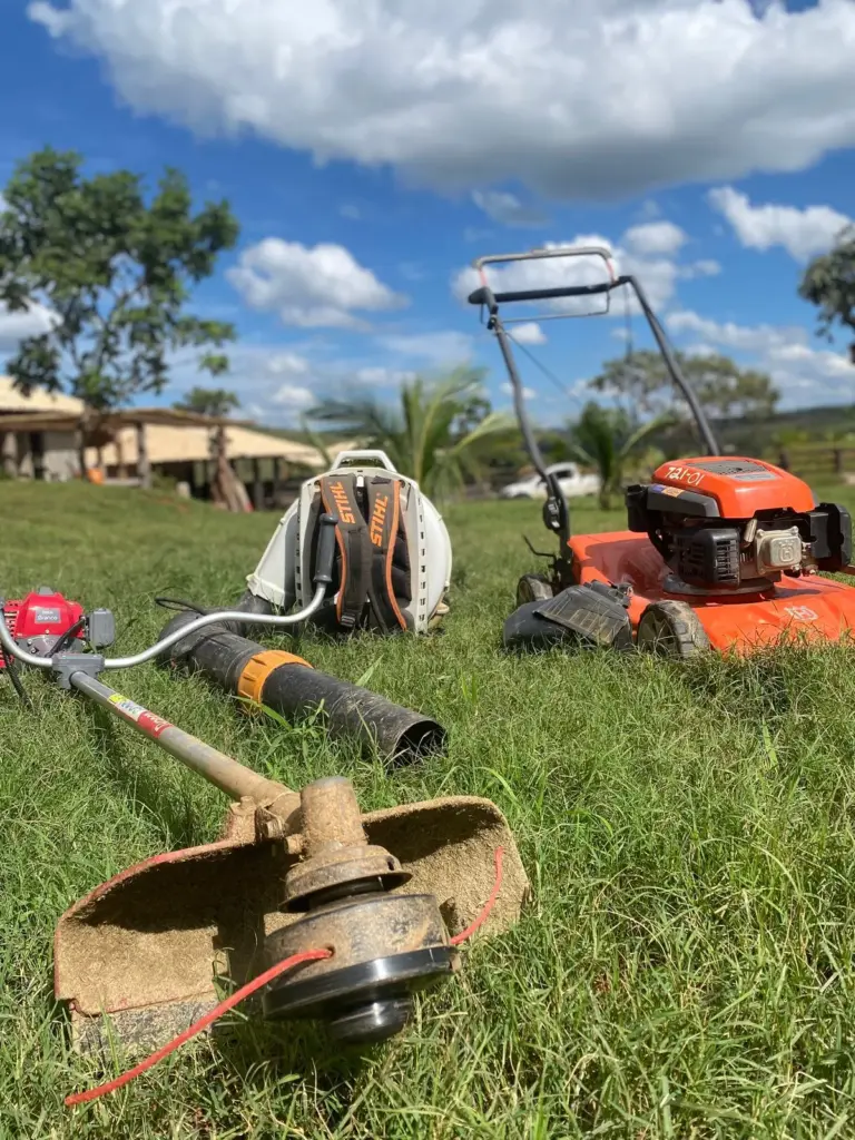 serviço de manutenção e poda